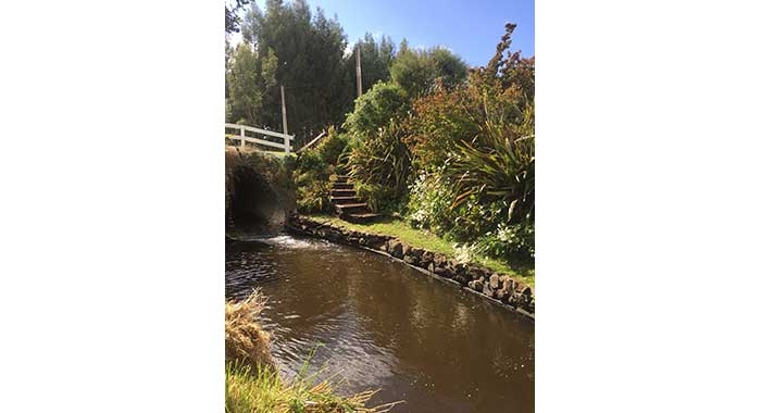 Wanganui River